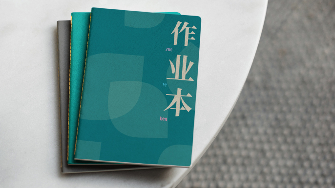 朝凤路小学品牌手册应用