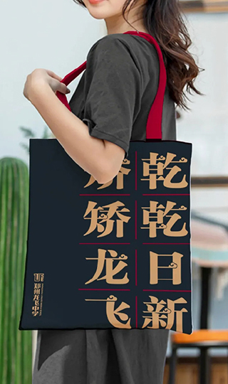 龙飞中学点睛文化理念展示三