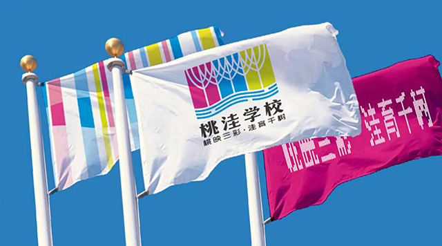 真我色彩,亮我风采——记昌平区桃洼学校教育品牌设计封面