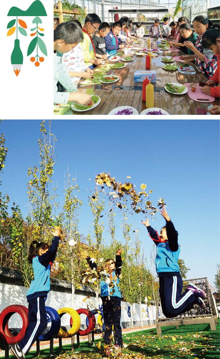 台头小学学生校园活动拼图 集体用餐运动与丰收场景