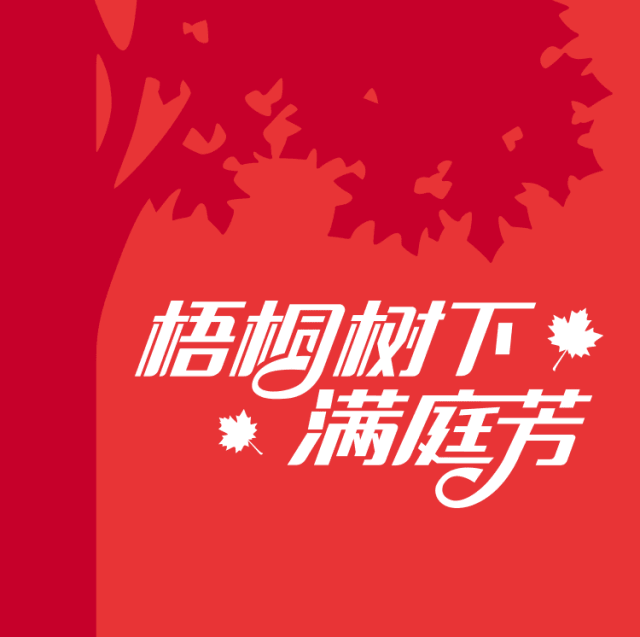 北京中法实验学校品牌主题字梧桐树下满庭芳 红色梧桐叶 锦连环设计