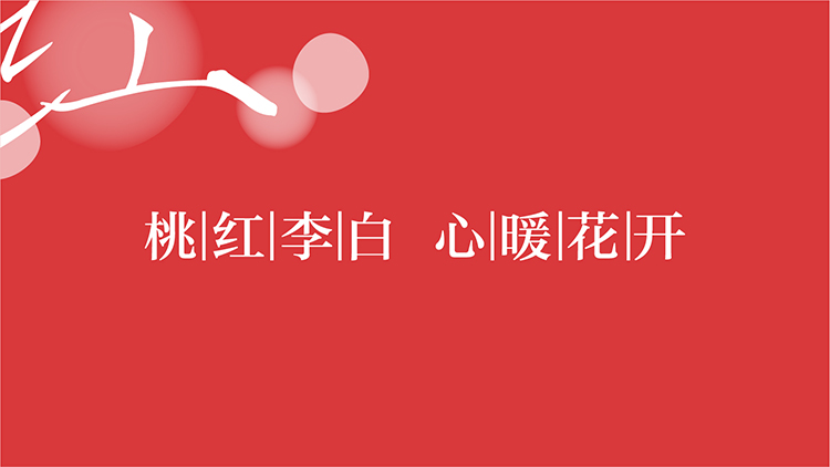 桃红李白,心暖花开视觉画面