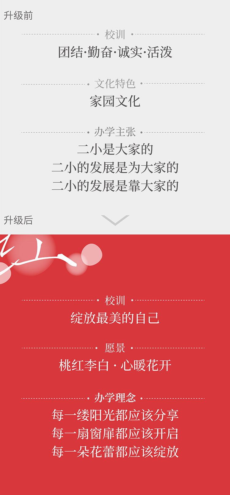 桃红李白,心暖花开理念视觉画面