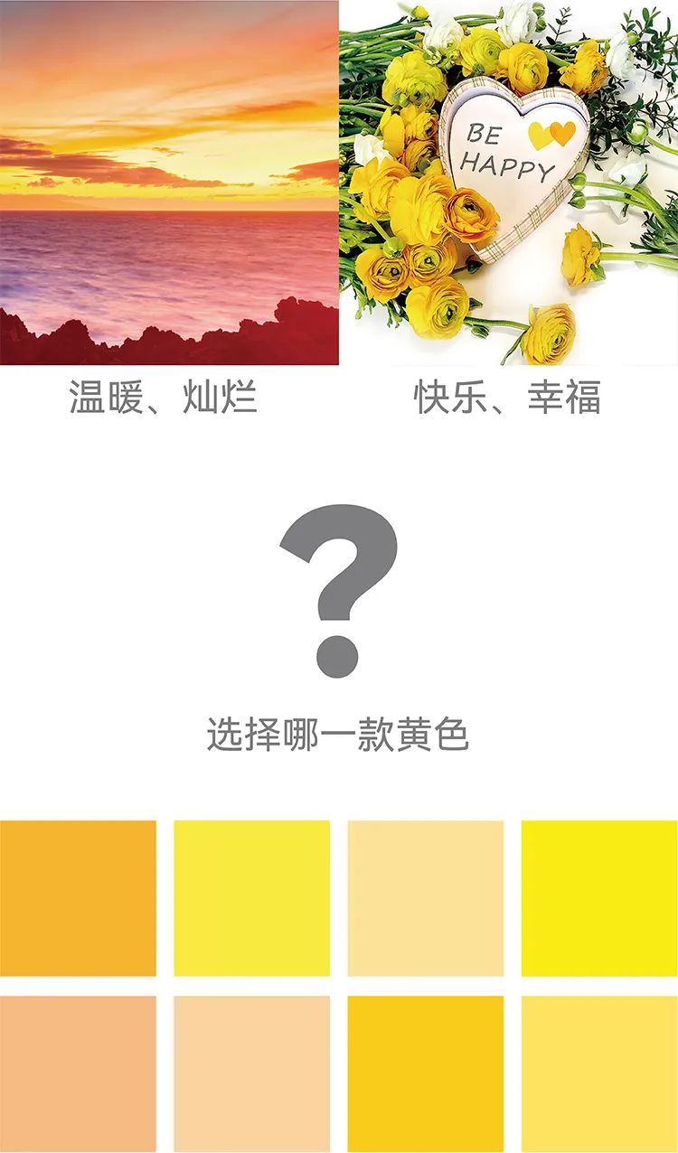 学而思品牌色彩情绪板,暖阳花卉意象配问号符号与黄色色卡,教育品牌设计探索