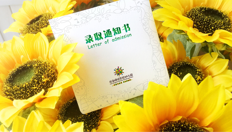 北部新区实验幼儿园黄色录取通知书置于葵花花丛,葵花森林趣味通知书设计