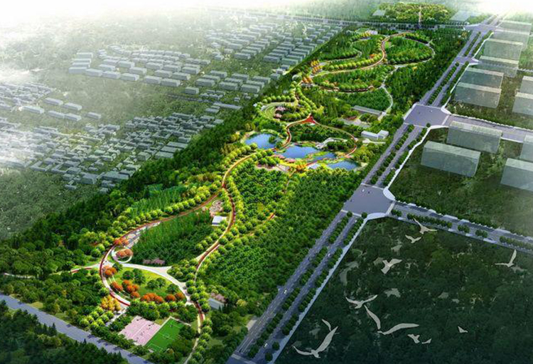 回天地区城市绿地航拍效果图，绿廊水景全景，学校所在区域环境与特色定位背景