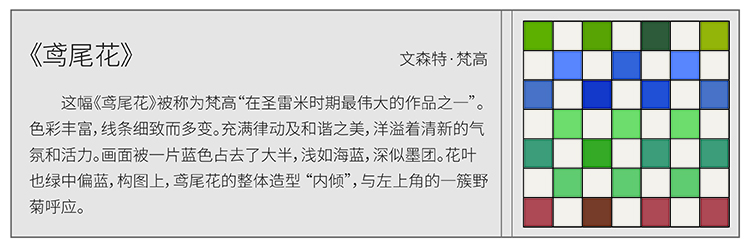 康巴什区第八小学离垢花画作介绍展板配格纹图案，校园艺术文化内容设计