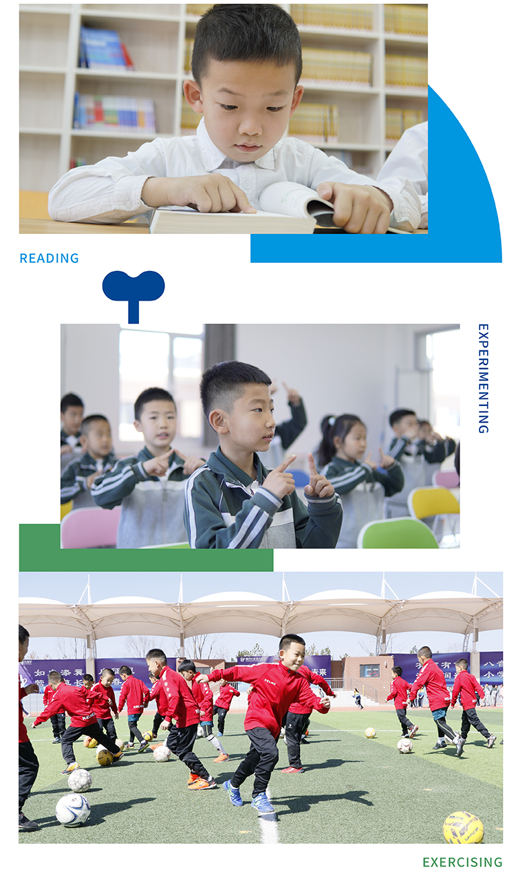 康巴什区第八小学学生阅读与户外活动照片竖排，校园文化成长场景