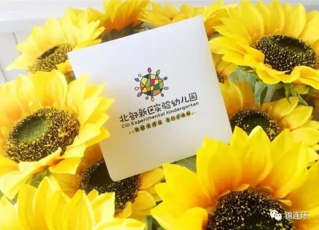 北部新区实验幼儿园品牌卡片置于向日葵花丛中,展现葵花主题幼儿园文化设计