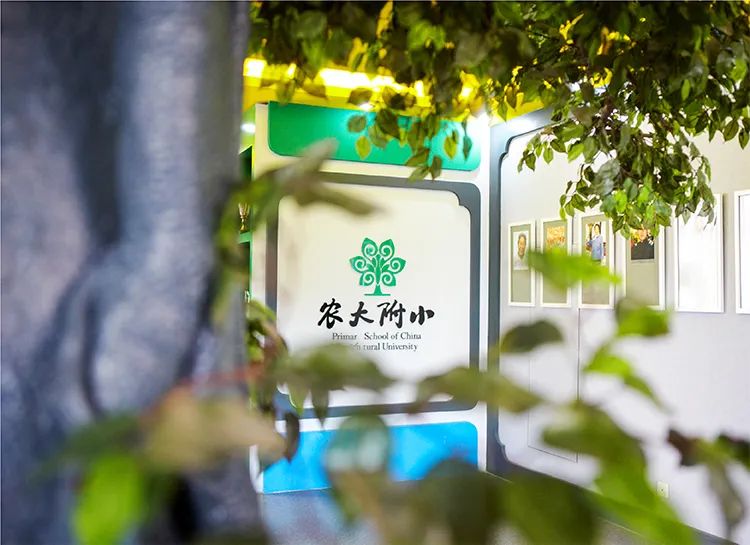 农大附小校史馆入口，绿植与树形校徽灯箱营造自然氛围