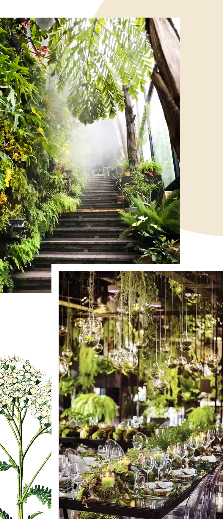 雨林主题餐厅空间，绿植楼梯与悬挂植物造景，锦连环文化之旅感受有机自然之美