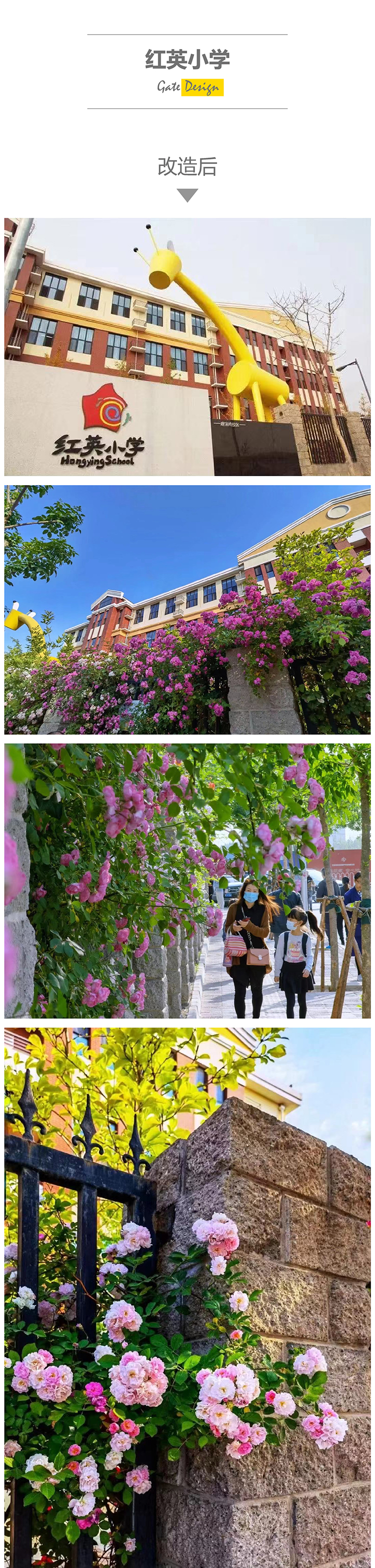 红英小学校门改造后实景,黄色长颈鹿造型校门与花墙校园环境建设