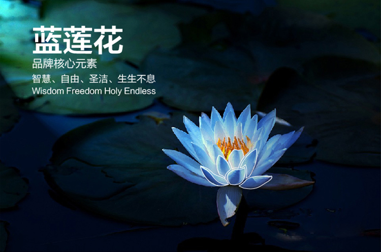 蓝色莲花盛开画面，象征新英才控股集团品牌核心元素蓝莲花，锦连环品牌设计