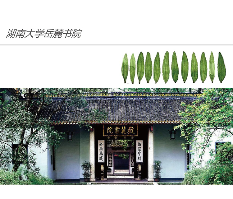 湖南大学岳麓书院古建筑门楼景观，承载千年文脉的中国校园文化空间典范