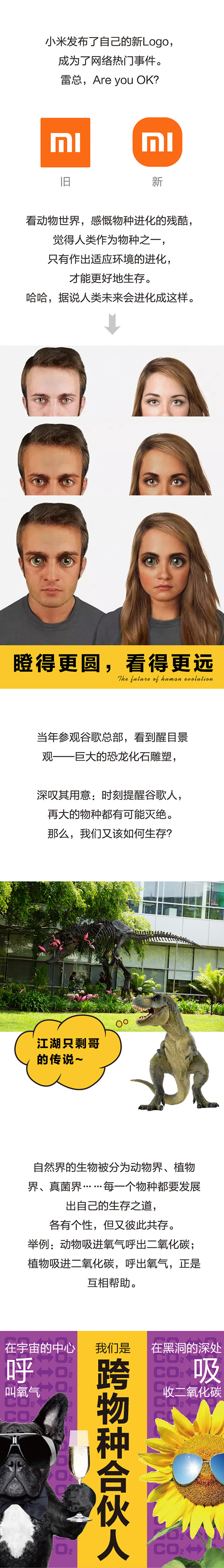 锦连环品牌评论开篇长图，对比小米新旧Logo并以物种进化引出品牌设计话题