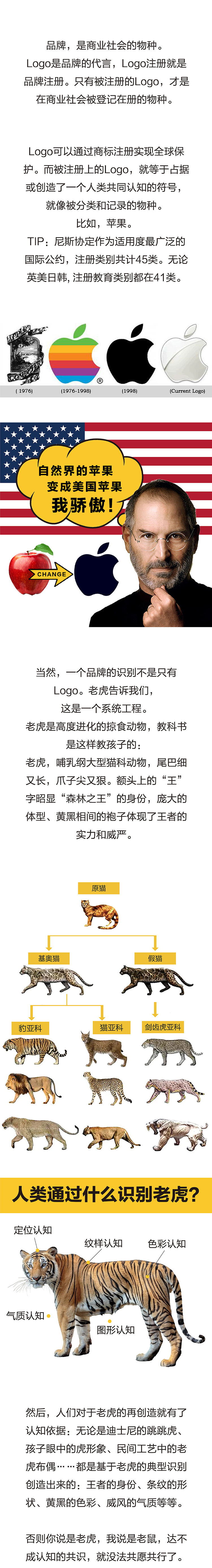 锦连环品牌长图，以苹果Logo演变与老虎进化识别阐释品牌即物种的设计逻辑