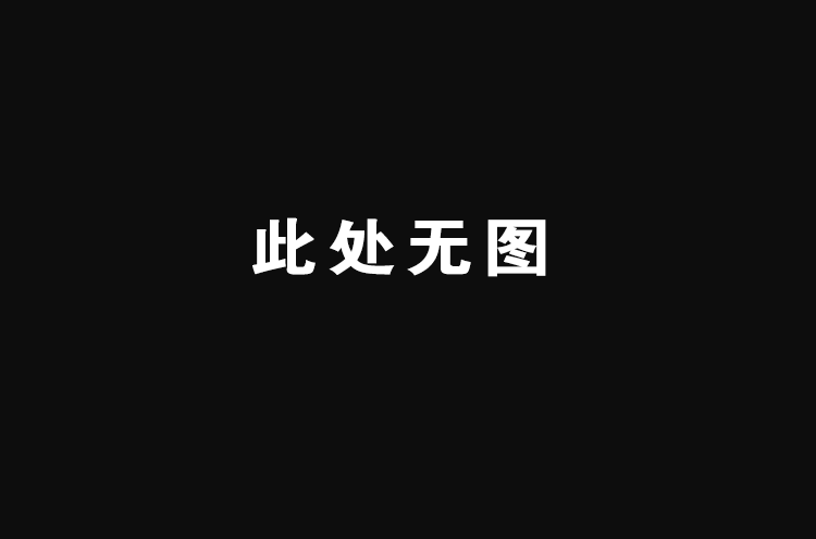 黑色背景白字此处无图的趣味占位图，锦连环品牌评论文章的过渡画面