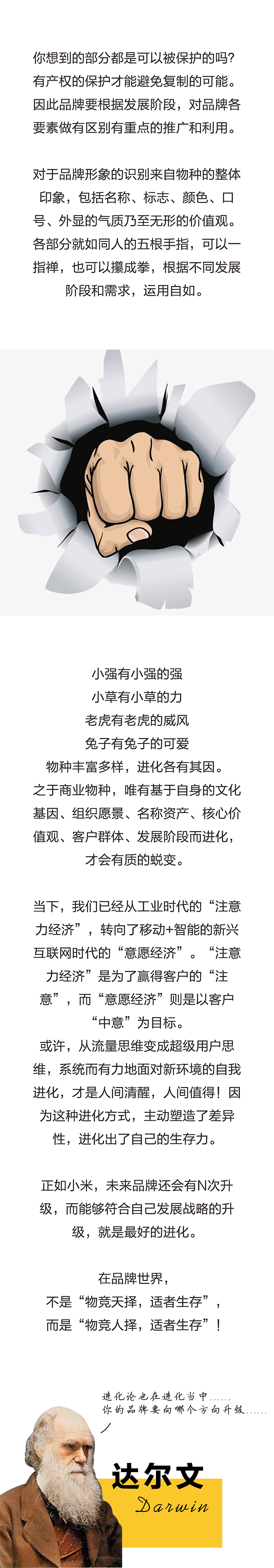 锦连环品牌长图，阐述品牌形象识别系统与商标产权保护的设计要点收尾