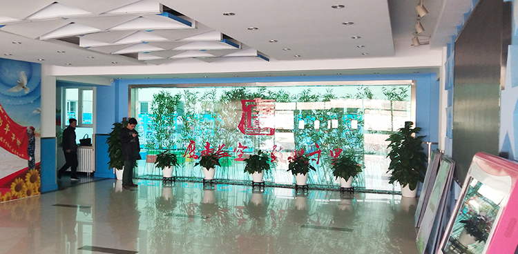 育鹰小学校园大厅绿植墙与展板实景，锦连环校园环境建设
