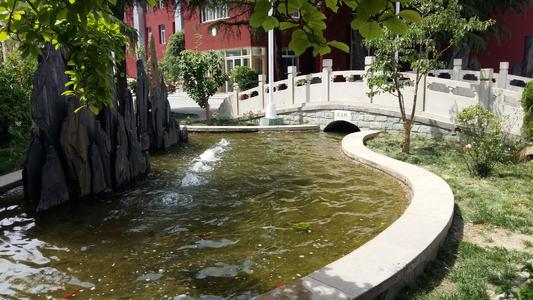 定慧里小学假山水池与白色栏杆小桥校园景观实景,锦连环校园环境建设