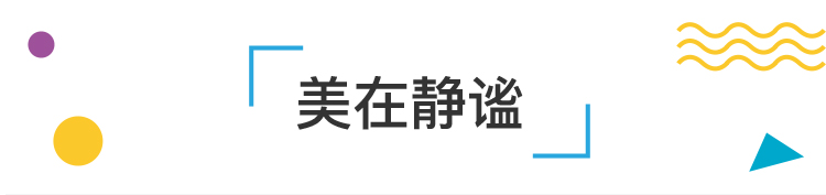 锦连环文化之旅美在静谧章节标题装饰,向美而行主题