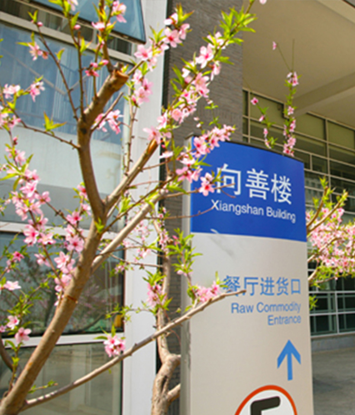 北京新英才学校户外楼栋导视实景，向善楼立柱标识搭配桃花的校园环境