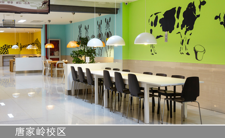 红英小学唐家岭校区餐厅绿色奶牛主题墙绘与长桌，阳光就餐空间环境建设
