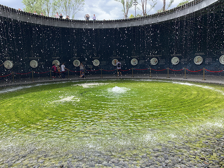 世园会植物馆环形水幕庭院，绿色水面与悬垂雨丝装置，营造雨林生态意境