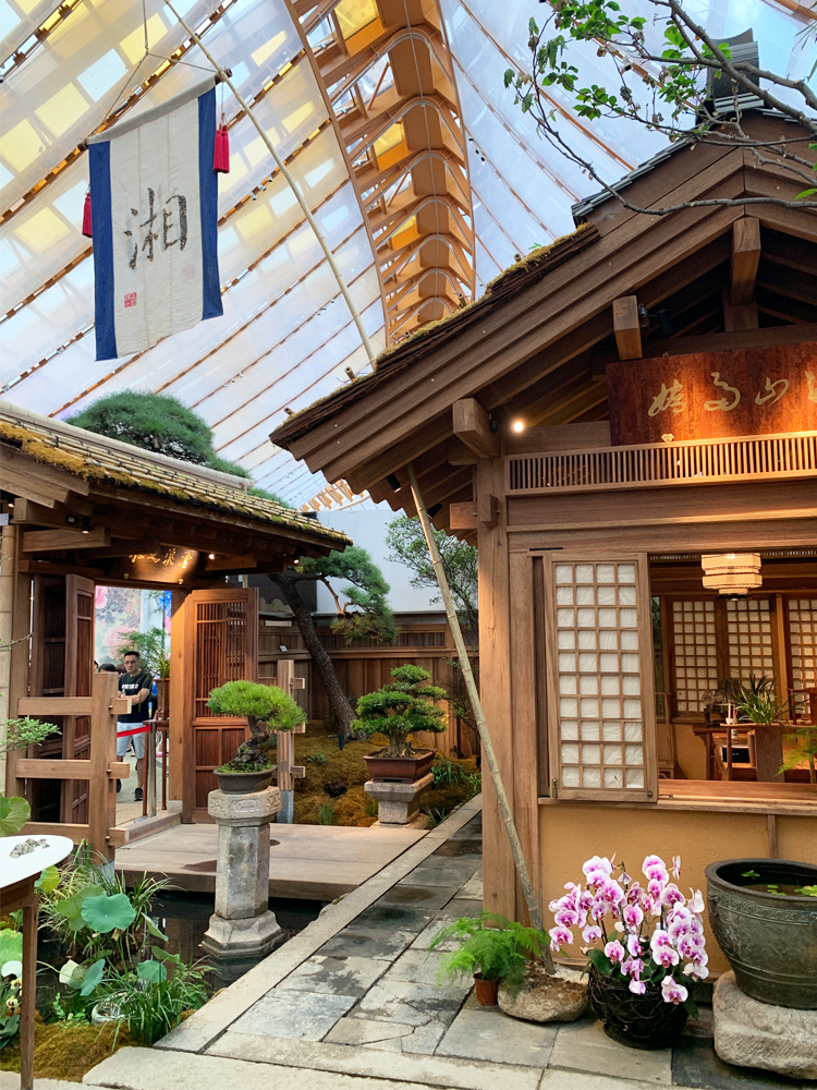 世园会日式风格展园木构庭院，盆景与兰花点缀，园艺造景精致雅致