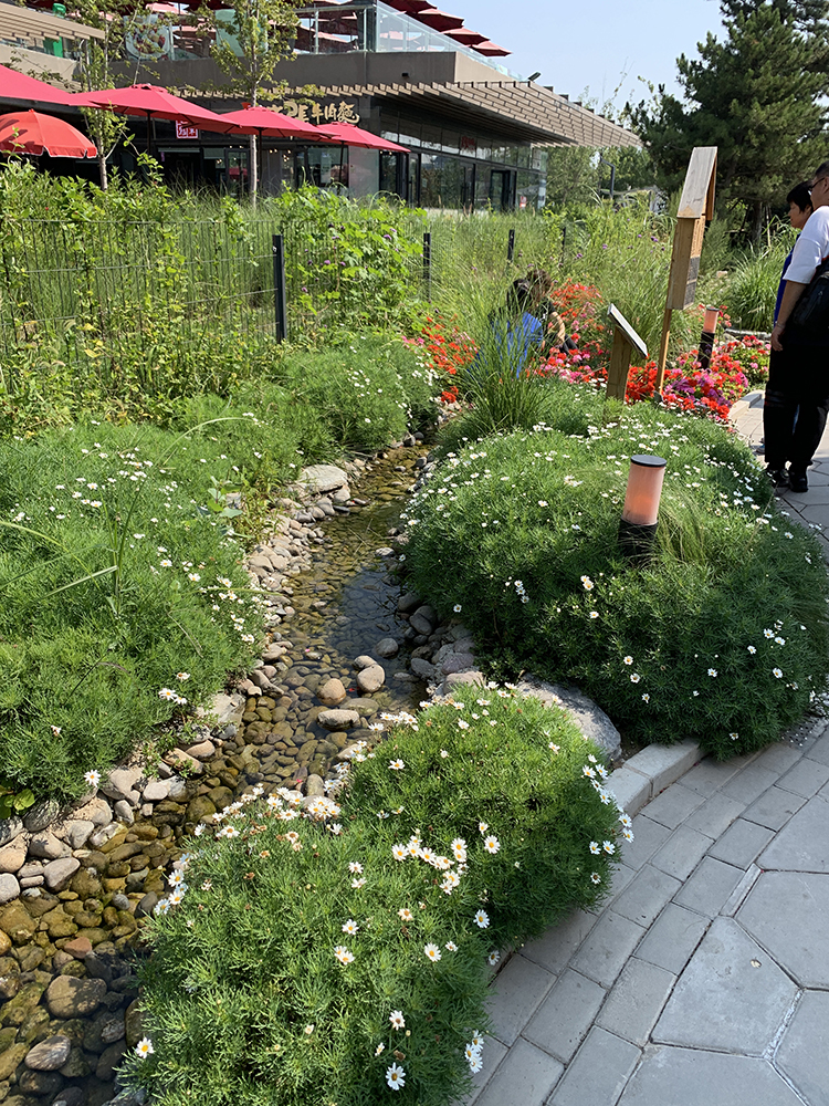 世园会主题花园景观，繁花绿植夹道，蜿蜒小径引人入胜，游客漫步其间
