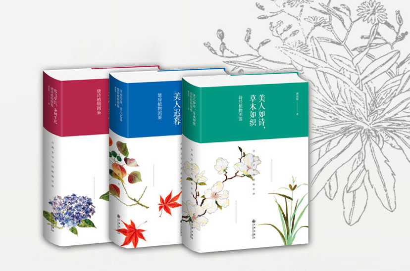 三册植物主题图书封面设计，蓝红绿配以花卉博物插画，呼应影响世界的中国植物