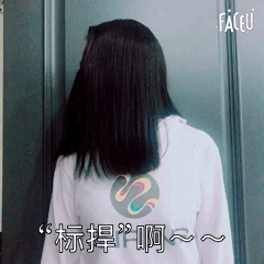 锦连环团队成员身着品牌队服背影，配文标捍啊呼应企业文化