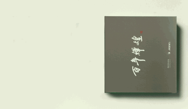 中央美院百年辉煌纪念画册灰绿封面,简约书籍装帧设计,校庆出版物