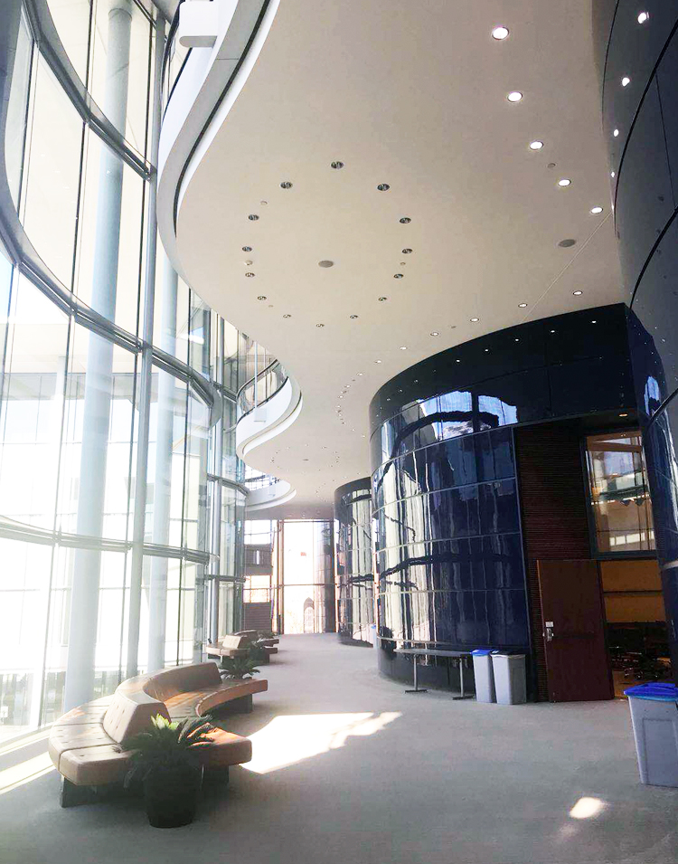 耶鲁大学建筑内部弧形墙面与挑高中庭空间，光影通透，体现学习共同体的校园文化