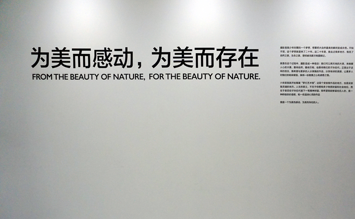 罗红摄影艺术馆墙面标语为美而感动为美而存在，诠释对美的信仰