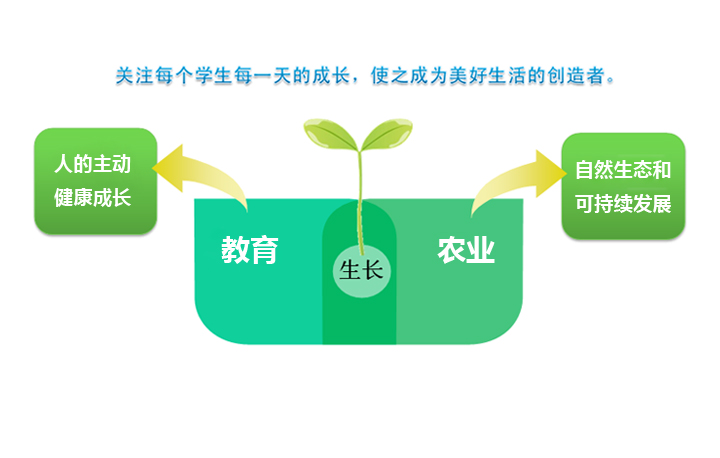 中国农科院附小品牌重塑理念结构图，以嫩芽生长隐喻连接教育与农业，呈现核心定位，锦连环教育品牌设计