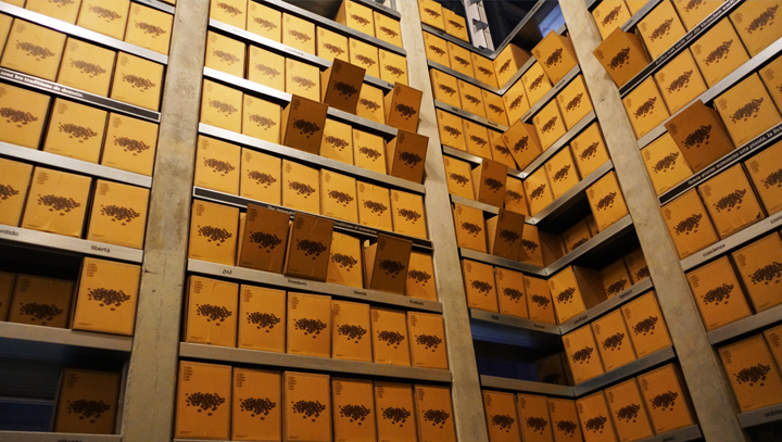 米兰世博会瑞士馆食品木箱塔装置,可持续发展主题