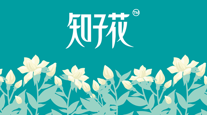 知子花品牌主视觉，青绿色背景搭配白色栀子花图案与知子花标志，锦连环打造教育品牌VI设计