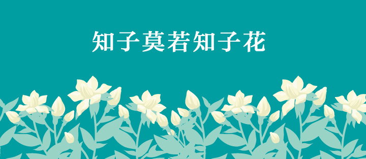 知子花品牌主视觉,青绿色背景知子莫若知子花标语与白色栀子花图案,锦连环教育品牌设计