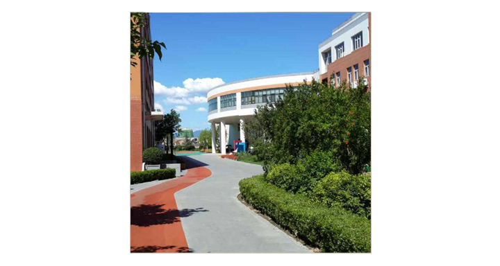 绿树环绕的现代校园教学楼与道路实景,整洁优美的校园环境建设展现良好学校文化氛围