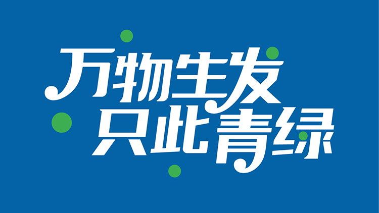 让品牌与生命一起成长——萍乡市经开区翠湖学校教育品牌设计｜正文图片2