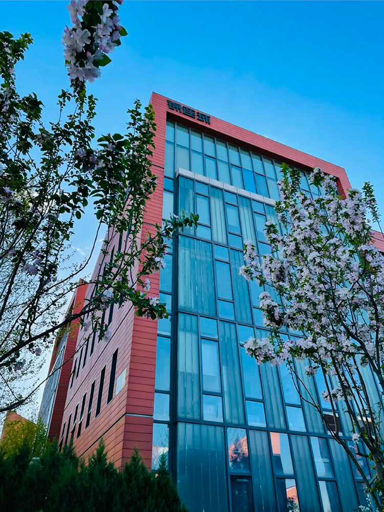 锦连环教育品牌设计行业标杆,专注学校文化建设21年,为最美教育持续赋能